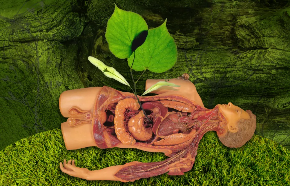 natalyaoart NatalyaO Natalia Okoń-Rudnicka Flora