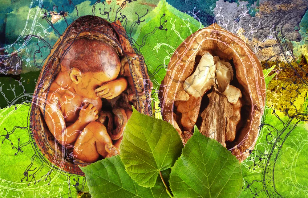 natalyaoart NatalyaO Natalia Okoń-Rudnicka Orzechy