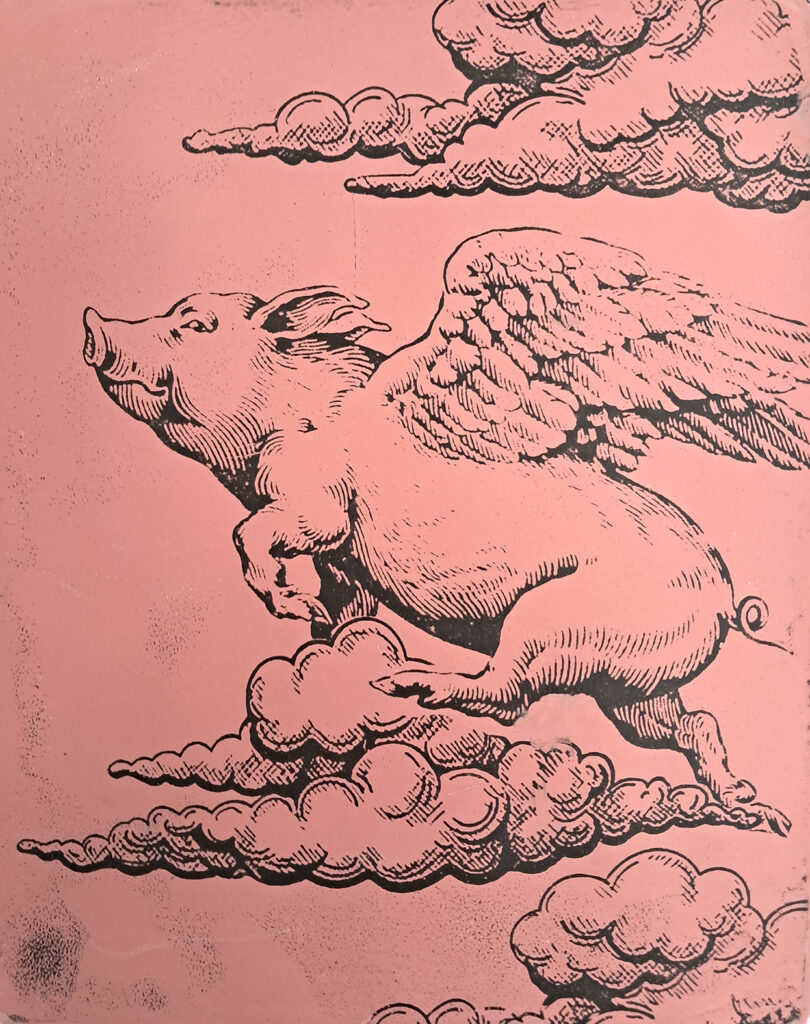 cerdo libre_ Natalya O.